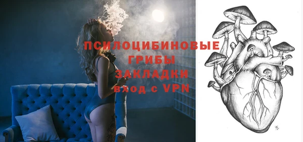 шишки Армянск