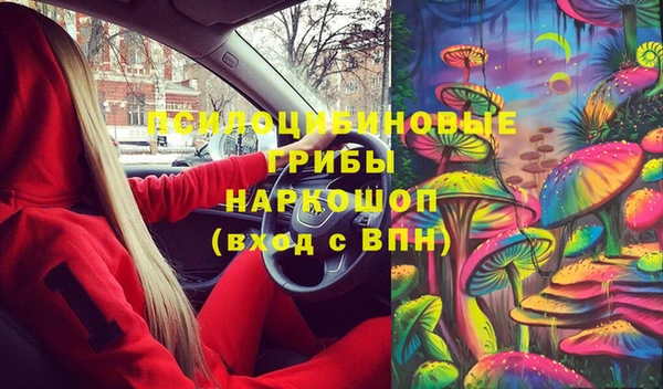 шишки Армянск