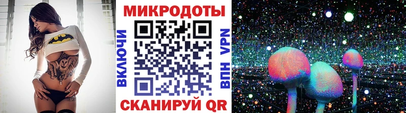 как найти наркотики  Малоархангельск  Псилоцибиновые грибы мицелий 